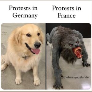 A meme from TheFunnyAuslaender.  It shows a bestial hellhound labelled "Protests in France"; next to it, labelled "Protests in Germany", there's a good obedient cute doggo.